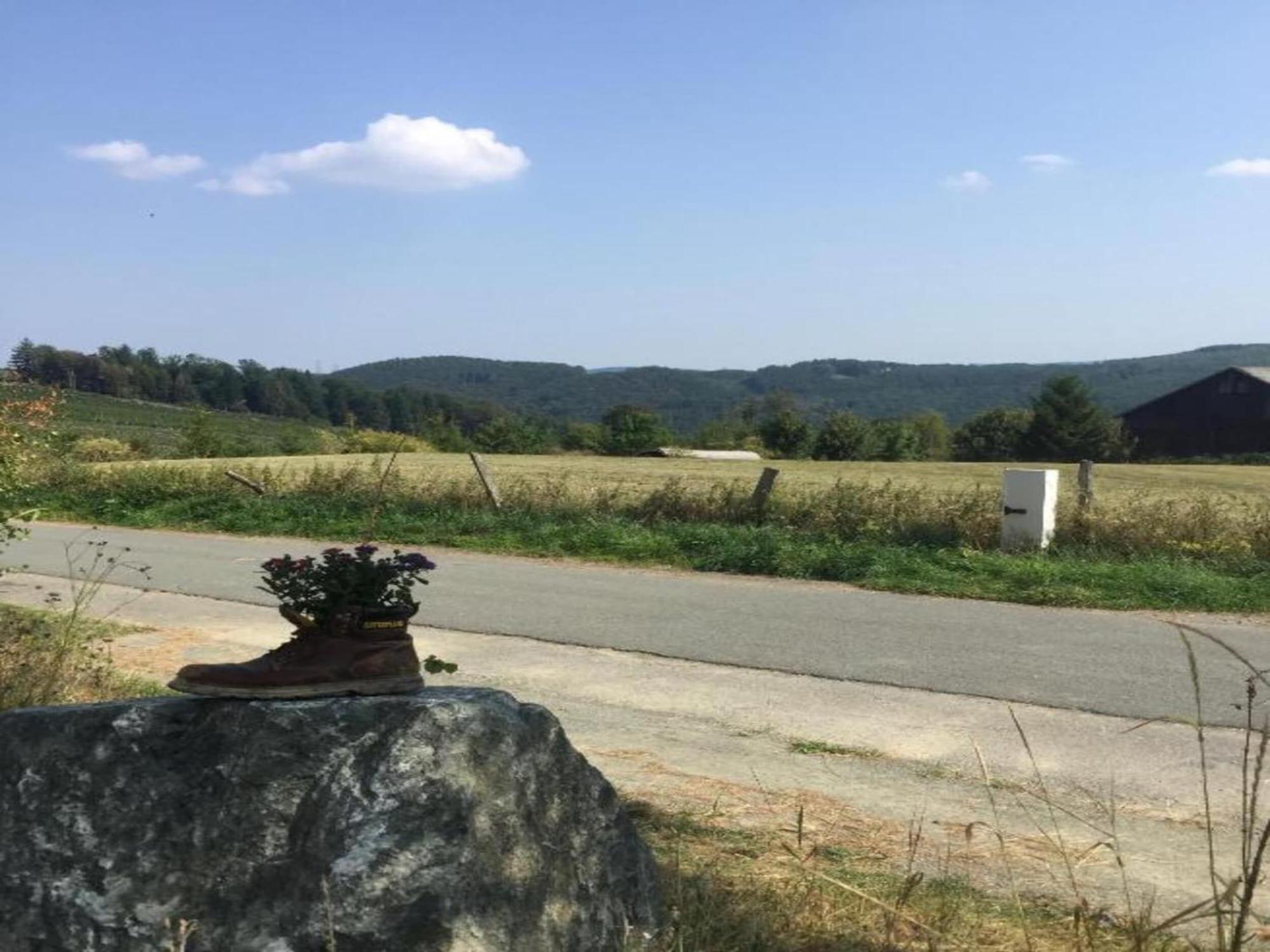 Holiday Home In Ramsbeck With Garden Bestwig Zewnętrze zdjęcie